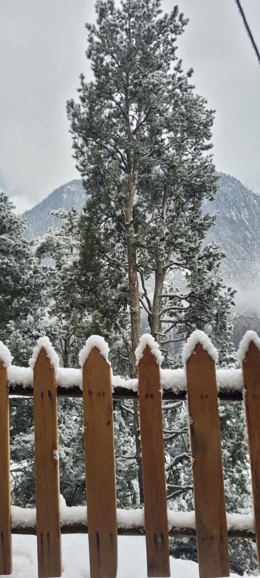 Rudra Homestays Kalpa Kültér fotó